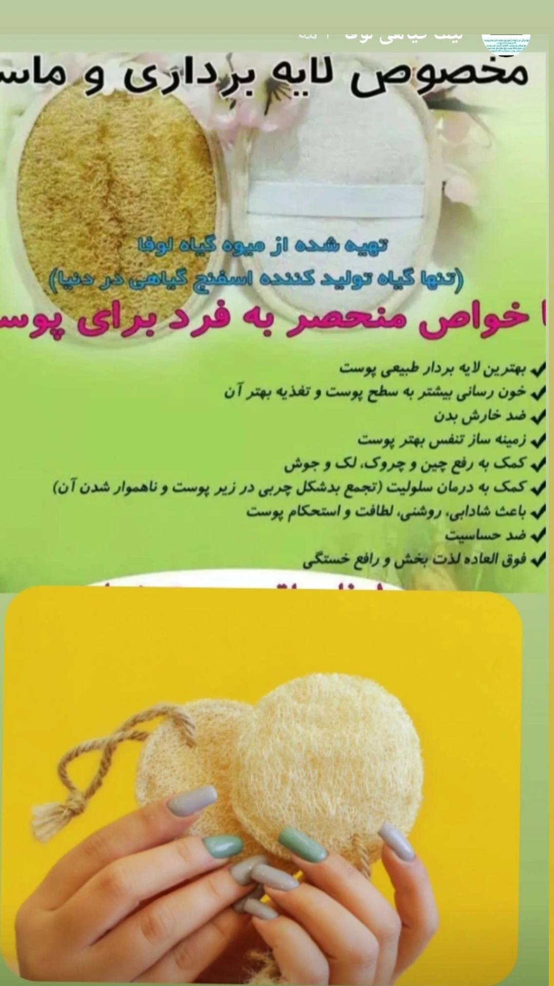 پد لیف لوفا گیاهی برند قجری